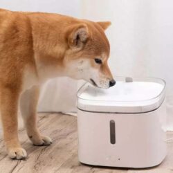 آبخوری اتوماتیک حیوانات خانگی Xiaomi Smart Pet Fountain